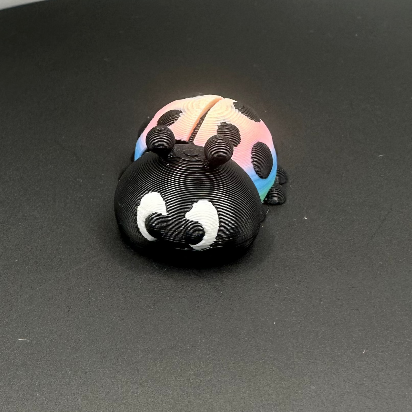 Ladybug