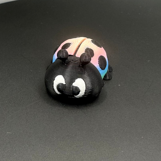 Ladybug