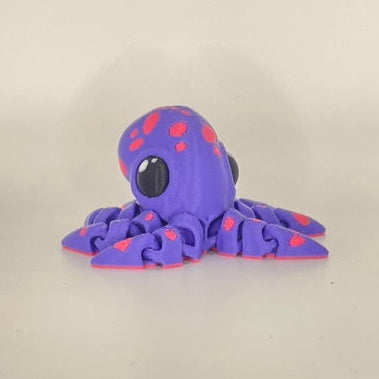 Colourful Octopus
