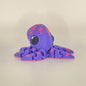 Colourful Octopus